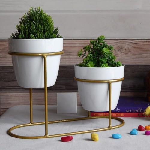 Image of UMAI Planter | Desktop Flower Planter | Home Decor Flowers Pot | Balcony Flower Pot | Flower Planter for Office Decor | Double Planter with Golden Stand | White