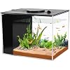 AQUANEAT Fish Tank, 1 Gallon Betta Fish Tank, Small Aquarium Kit with LED Light and Water Filter Pump
