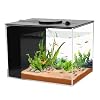 AQUANEAT Fish Tank, 1 Gallon Betta Fish Tank, Small Aquarium Kit with LED Light and Water Filter Pump