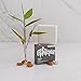 Ethique Sans Unscented Deodorant Bar for Men & Women - Aluminum-Free, Plastic-Free, Vegan, Cruelty-Free, Eco-Friendly, 2.47 oz (Pack of 1)