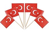 QQSD Turkey Toothpick Flag Turkish Small Mini Cupcake Topper Flags,100 pcs