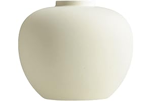 Abstract Full Moon Vase: A Celestial Canvas for Floral Masterpieces