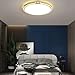 Gold Round LED Ceiling Light, Nordic Ultra-Thin 2.3 Inch, Adjustable Three-Color Flush Mount Fixture for Living Room, Balcony, Bedroom (52cm)(42cm)
