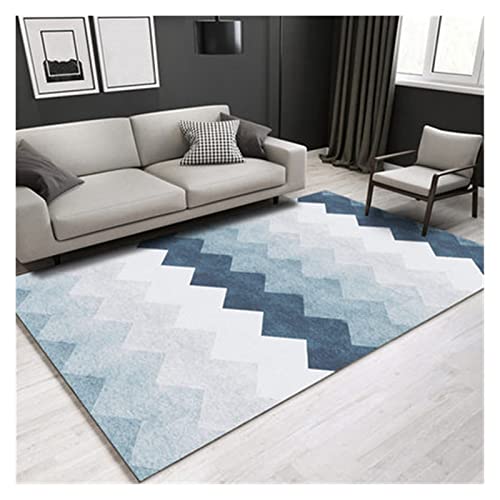 MIOBER �b�g �􂦂� �O�~ �G���A���O�V���v���Ōy�����O�z�[���t���t���A���O �Q�� ���r���O���[�� �\�t�@�p�� �̔ėp���O (Color : E, Size : 80x160)