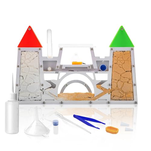 ELNMLHT Ant Farm Kit for Kids, Sand Ant Colony Terrarium Kit for Educational & Learning Science Toy for Boys, Girls & Adults (Red Green)