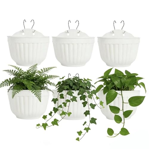 ORIMERC 6 macetas de 25 cm, Flores de Pared Verticales para Colgar para jardín, salón, Ventana, Interior, Exterior, Cocina, Hierbas, balcón, balaustrada, Estante, Valla, decoración de celosía Blanca