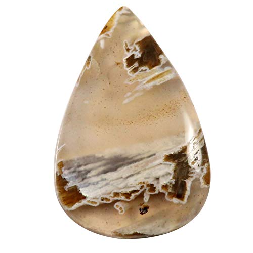 Cabochon en agate poire naturelle 20,6 carats pierre fine Qj99