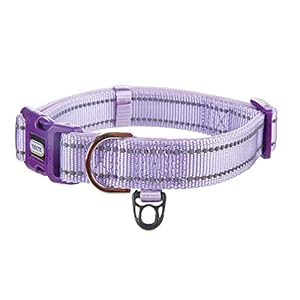  Reflective-Nylon-Dog-Collar-with-Breathable-Neoprene-PaddingAdjustable-for-Medium-DogsNeck-13-189Lilac-Purple