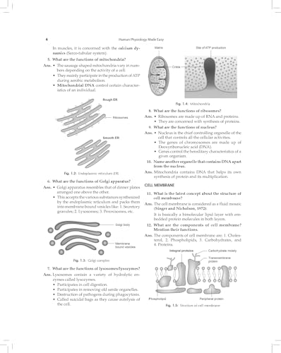 Image of LPR's Human Physiology Made Easy Theory and Practical Question-Answer Format| for Paramedical and Allied Health Sciences Students (PB 2026)