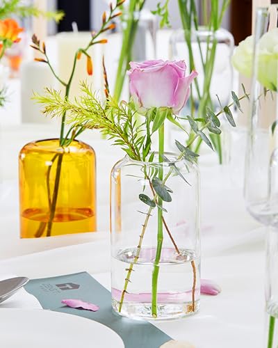 Zens Bud Vases Set of 12 for Wedding Decor