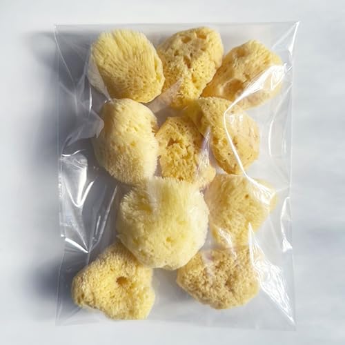 �V�R�C�ȃX�|���W �~�j�T�C�Y �y20�Z�b�g�z �M���V���Y �V���N�� �\�t�g�V���N �n���C�̌b�݁A�D�����^�b�`�̃M���V���Y ���z��