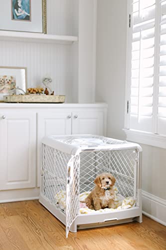 Diggs-Revol-Collapsible-Dog-Crate-Portable-Dog-Crate-Travel-Dog-Crate-Dog-Kennel-Dog-Crates-for-Medium-Dogs-and-Dog-Cage-for-Small-Dogs-and-Puppies-Crates-for-Dogs-Indoor-or-Outdoor Dog Cage for Small Dogs and Puppies