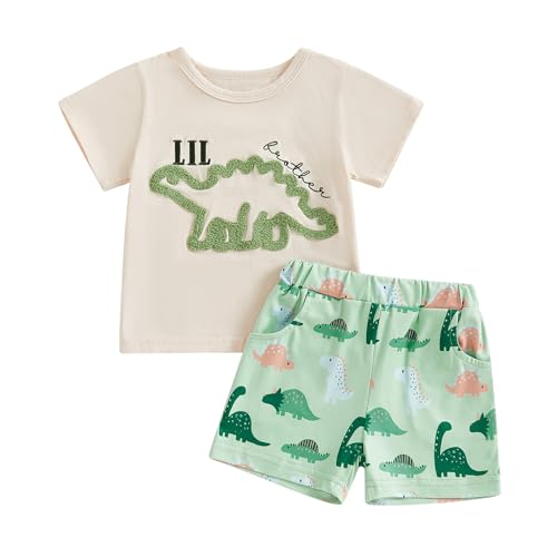 Image of Big Brother Little Brother Matching Outfit Toddler Baby Boy Dinosaur Crewneck Shirts Sweatshirt Summer Clothes