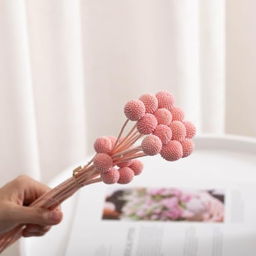 Flores Secas Billy Ball Craspedia Set 20 Piezas miniatura 4