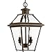 Progress Lighting P6537-20 Burlington Two-Light Hanging Lantern, Oil Rubbed Bronze