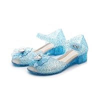 Naihoow Frozen Elsa Shoe Girl Dress up Shoes Glitter Jell Shoes Girls Blue Size 9.5