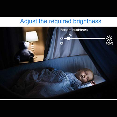 Image of ZOOOK Shine 9-Watt Smart LED Bulb Compatible with Amazon Alexa and Google Assistant (B-22 Pin Type Socket Bundled with B22 to E27 convertor, White)