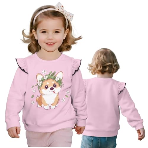 Girl Girl Sweatshirt Clothes Ruffle Sleeves Kids Long Sleeve Fashion Pullover Tops Clothes Comfortable Sport Shirt2