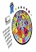 Trivial Pursuit Party Game