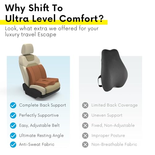 Image of Pillow Kit Memory Foam Back Support and Siting Cushion Ergonomic Adjust Sitting Position Relief Pain for Car or Office Chair. (Majestic tan, Lumbar)