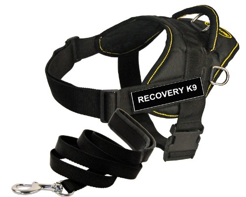Harnais K9 de Restauration Petit Chien Jaune 55-68cm avec Laisse Rembourrée