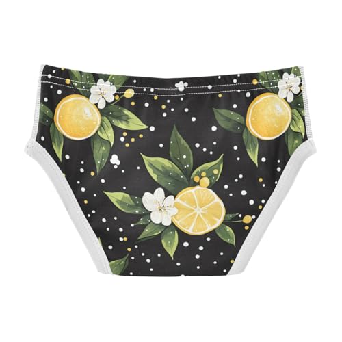 Lemon and Polka Dots Toddler Boy's Underwear 2T 202c01362