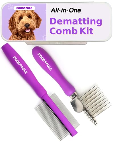 8 Best Dematting Tools for Cats in 2026 - Reviews & Top Picks - Cat De-Matting Kit For Cats With Skin Issues