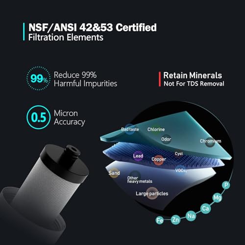 Image of Frizzlife SW20 Under Sink Water Filter System, NSF /ANSI 53&42 Certified, 0.5 Micron Reduces 99.99% Lead, Chlorine, Bad Taste & Odor, Direct Connect Water Filter, 3 Years High Capacity, USA Tech