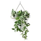 Idéal pour décorer un jardin, une terrasse, un cadeau, une maison, un bureau.