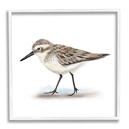 Nautical Sandpiper Bird on Sand Speckled Feathers
