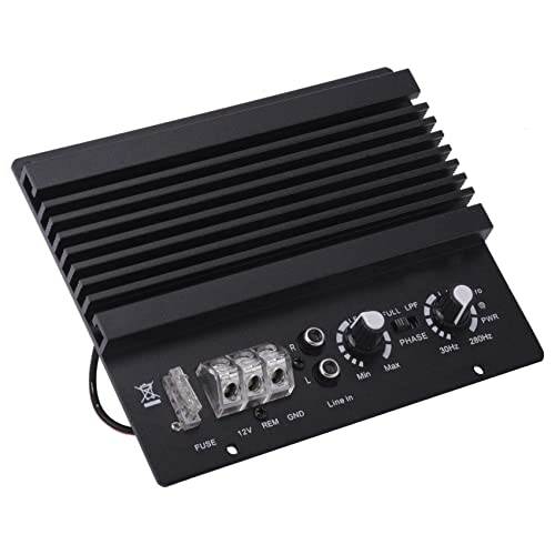 Lrtzizy 1000W Car Audio Amplifier 12V