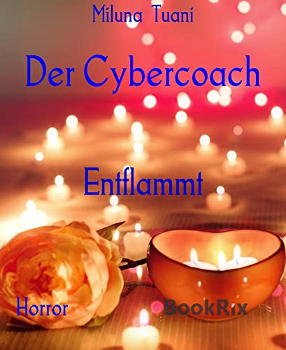  Der Cybercoach: Entflammt (German Edition)