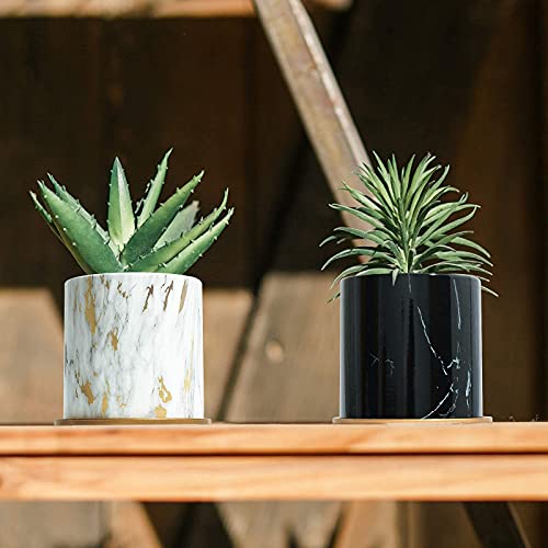 Feiaa Plant Pots Indoor Planter 6 Inch Ceramic Flower Orchid Pot With Drainage Holes And Tray Modern Black Gold For Home Decoration Outdoor #TOP3