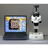 AmScope SW-2T24Z Trinocular Stereo Microscope, WH10x Eyepieces, 20X/40X/80X Magnification, 2X/4X Objective, Upper and Lower Halogen Lighting, Pillar Stand, 110V-120V, Includes 2.0x Barlow Lens