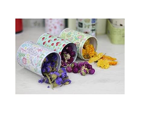 Leoyoubei 3.55X2.55 Inch Dry Storage Tinplate Caddy Box Retro Double Cover Home Kitchen Storage Containers Colorful Tins Round Tea Tins Set Of 6 (Shipped Randomly) #TOP5