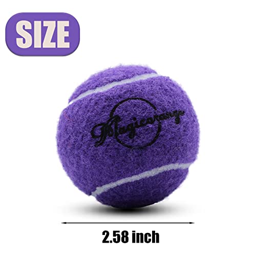 Image of Tennis Balls, Magicorange 12 Pack Advanced Training Tennis Balls Practice Balls, Pet Dog Playing Balls, Come with Mesh Bag for Easy Transport, Good for Beginner Training Ball (Purple)