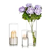 Romadedi Windlicht Glas Glaszylinder mit Boden - 3er Set Glasvase Zylinder vase Teelichthalter für Kerzen Kerzenhalter deko 15/20/25cm Hochzeit Tischdeko