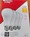Everyday Living LED A21 100 watt Equivalent Daylight LED Light Bulbs (Pack of 4)