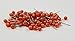 Floral Corsage / Boutonniere Pin 3/4" Pixie Orange 100pcs