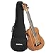 Produktbild CASCHA Bass Ukulele aus Mahagoni I Bass Ukulele mit Tasche Stimmgerät Tonabnehmersystem I Ukulele Set Aquila Thundergut Saiten I Kleine Hawaii Gitarre Bass für Anfänger Fortgeschrittene, HH 2175