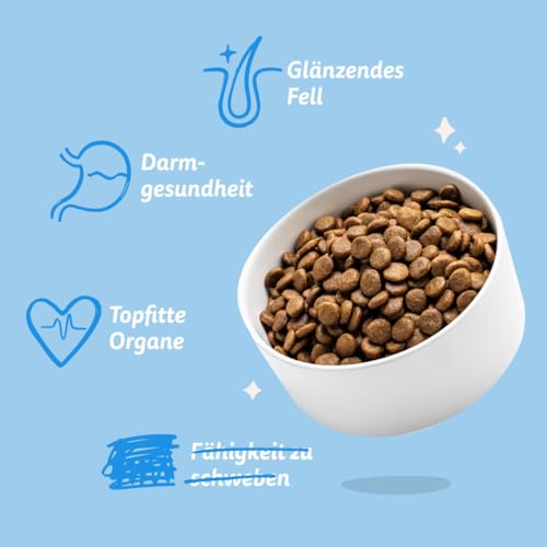 Edgard & Cooper Hundefutter trocken für Medium Adult Hunde (7kg), frischer Lachs, ausgewogene Ballaststoffe für die Darmgesundheit, Natürliche, hypoallergene Rezeptur, nie Fischmehl