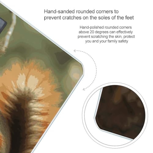 Báscula Digital de Baño Wildlife Forest Squirrel miniatura 4