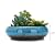 VanEnjoy 7.3 inch Round Large Shallow Succulent Ceramic Glazed Planter Pots with Drainage Hole, Bonsai Pots Garden Decorative Cactus Stand Flower Container
