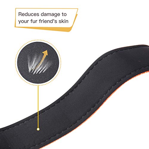 Image of HEELE Dog Collar, Reflective Dog Collar, Soft Neoprene Padded Breathable Nylon Pet Collar Adjustable for Small Dogs Puppy, Orange, XS(7.87-11.81 inch)