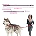 TSPRO Freihandleine Hund für Mittel bis Große Hunde, Verstellbar und Dauerhaft, mit Weichem Gepolstertem Griff und Metallschnalle (Militärgrün)
