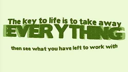 Iconic Arts Laminated 42x24 Poster: The Key of Life is