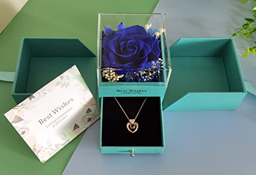 WOMLEX vU[uht[ lbNX v[g ͂Ȃ av[g  lC ޏ   蕨 Ƃ o^C LO j zj ̓ hV̓ v[g NX}X w  bZ[WJ[ht (