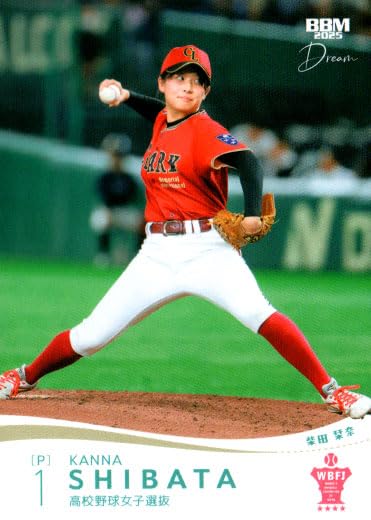 高校野球女子選抜vsイチロー選抜KOBE CHIBEN 大会記念Tシャツ 高校野球女子選抜vsイチロー選抜KOBE CHIBEN 大会記念Tシャツ