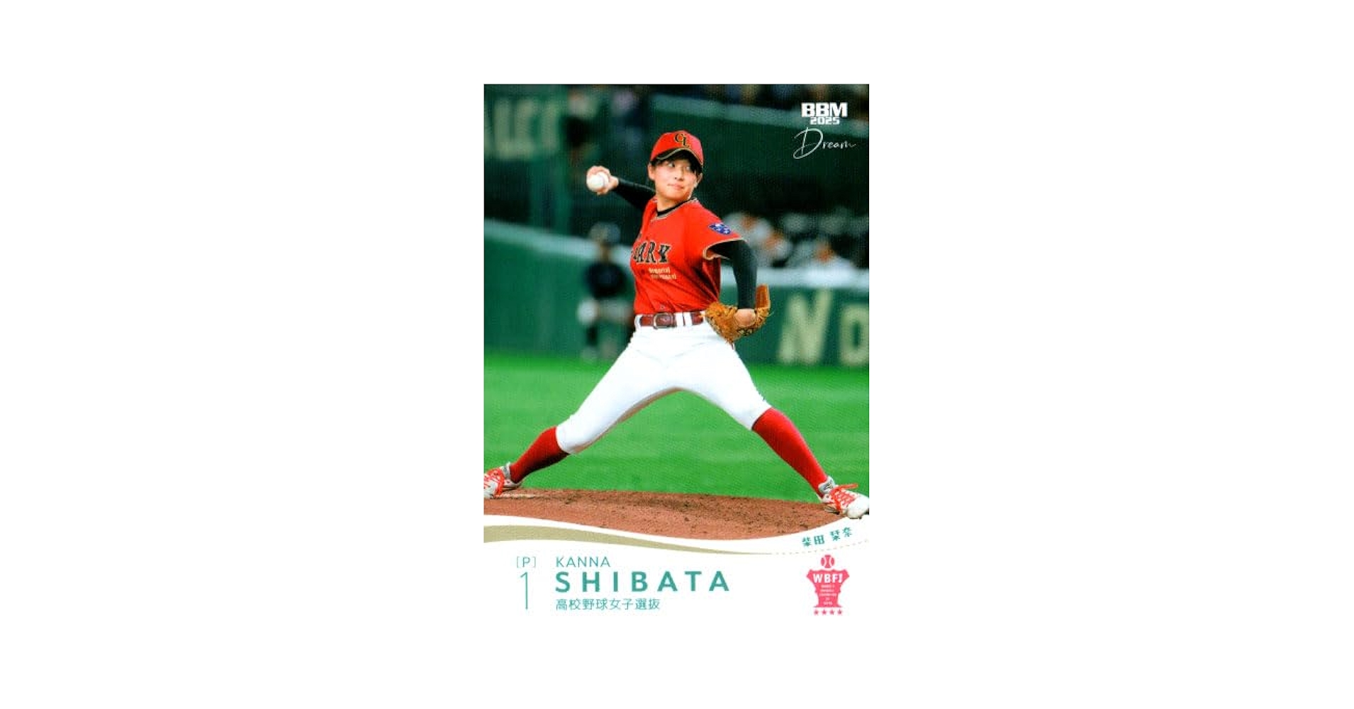 イ*チ様 イチロー選抜 VS 高校野球女子選抜 記念 ミニチュアグラブ＆記念ボー FULLGAME】高校女子選抜 vsイチロー選抜【Selected Girls Team