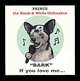 Bark if you love me (Prince the black & white chihuahua)